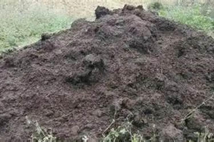 有机肥和复合肥能一起施肥吗