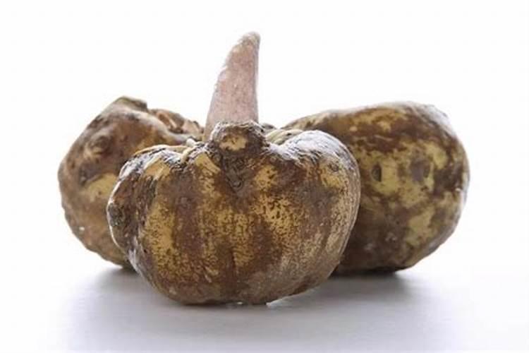 曲靖白魔芋种植深度是多少