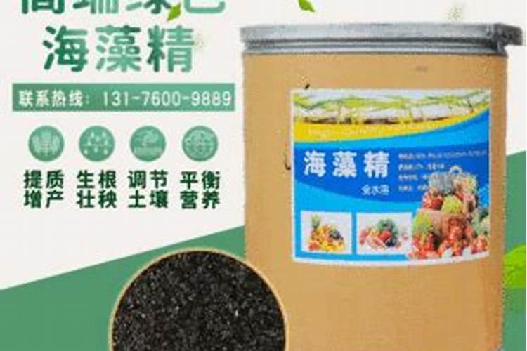 海藻精不能和什么肥料混用