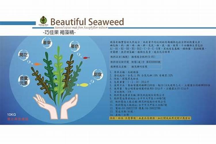 有机肥种花什么牌子好