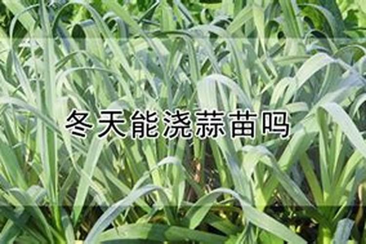 代森锰锌治什么病虫害