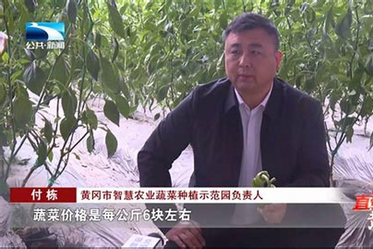 牡丹花施什么肥好