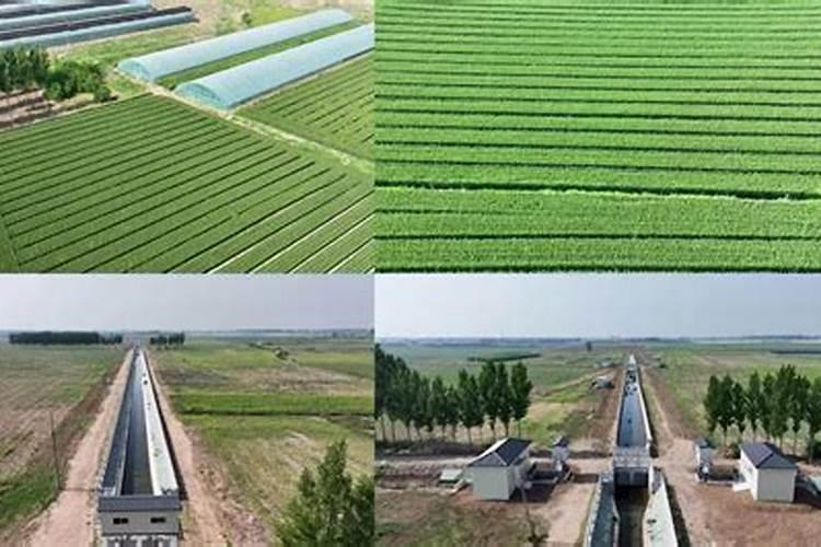 果树施肥有哪些原则？