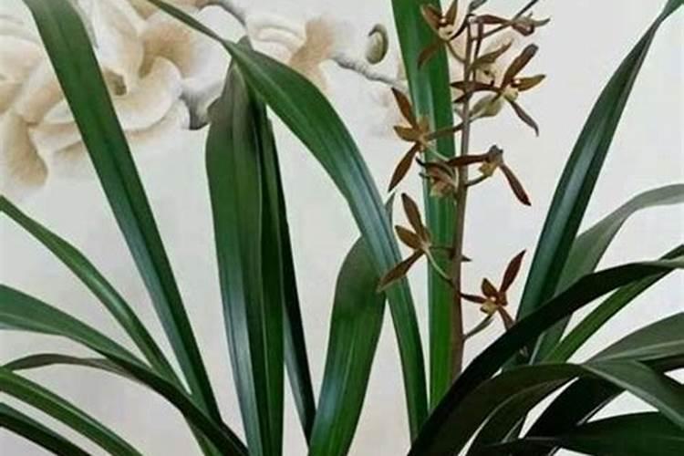 有没有哪些蔬菜是根本不含蛋白质的？