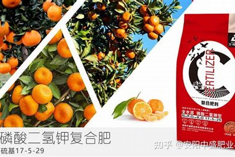 柑橘树怎样施复合肥 使用方法及注意事项