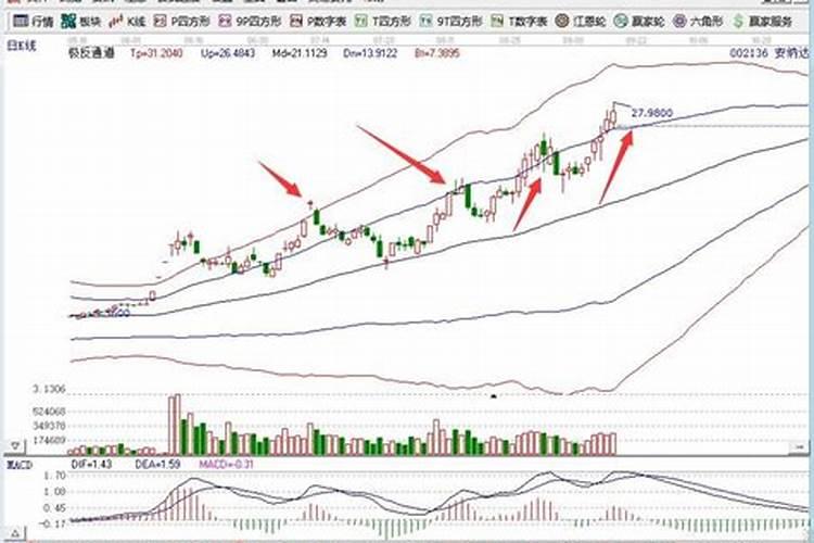 枣树移栽后多久浇水