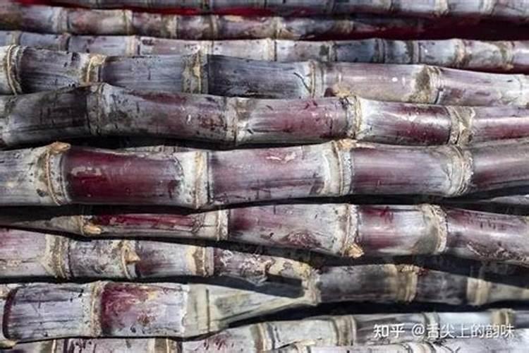 甘蔗营养特点与施肥技术