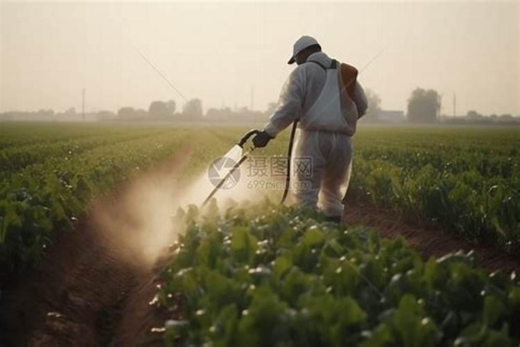 ﻿药用植物叶面追肥技巧
