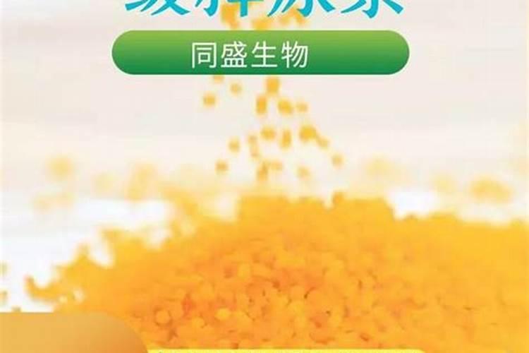 秋天如何给月季施豆粕肥料？