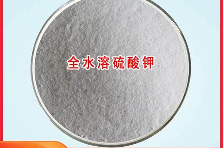 玉米使用什么叶面肥好(玉米喷施什么叶面肥效果最好)