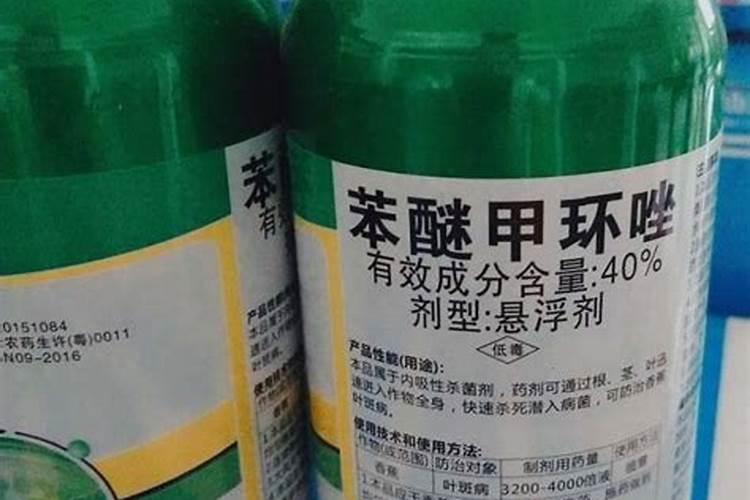 怎么让自家种的桃子更大更甜？施肥和修剪有什么技巧