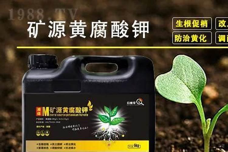 氯化钾可以当肥料吗？