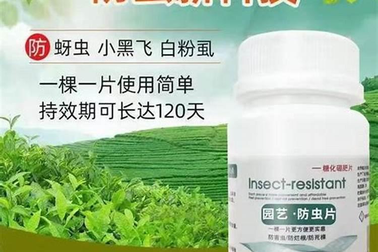 水溶肥和冲施肥的区别