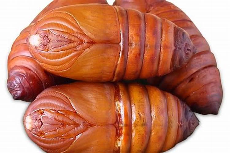 黄豆水属于磷肥还是氮肥