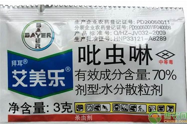 吡虫啉加上芸苔素内酯能治玉米粗缩病吗