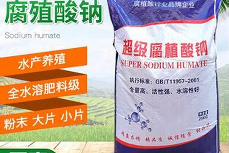 新疆双龙腐植酸有限公司的产品与服务