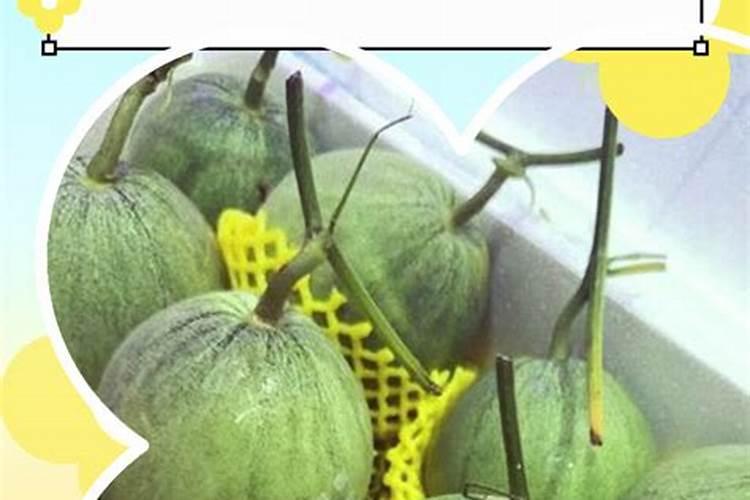 谁知道叶面肥哪款最好？