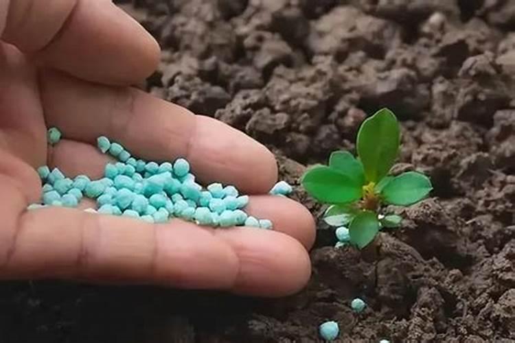 家里养花用二氨行吗,谢谢