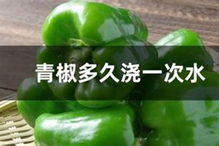 青椒施什么肥最好