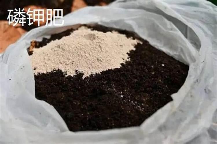 磷酸二氢钾可以埋在花盆里面吗