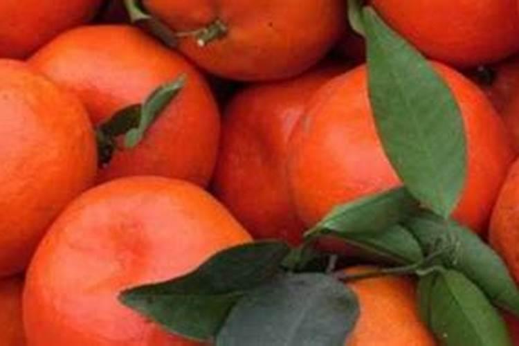 玉米打什么含量大量元素好