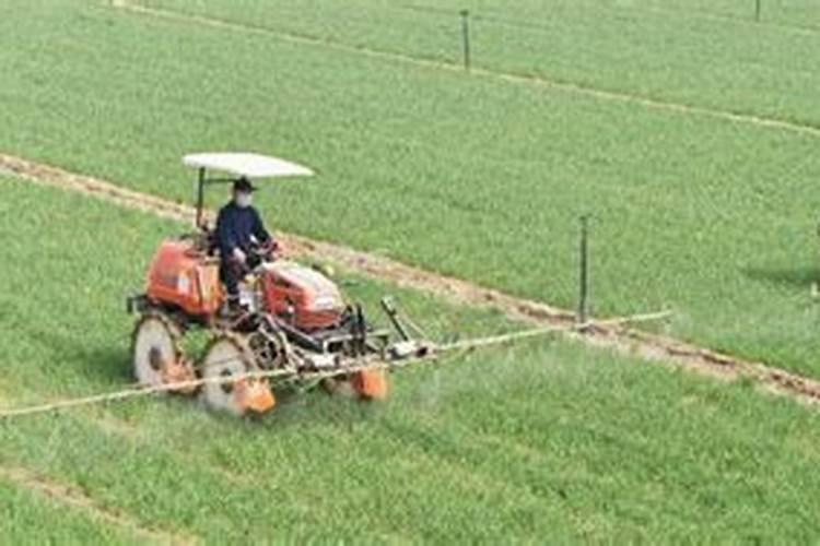 除草剂打后几小时有效