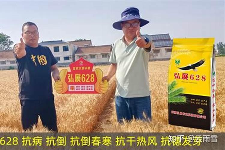 螯合镁肥的正确使用方法