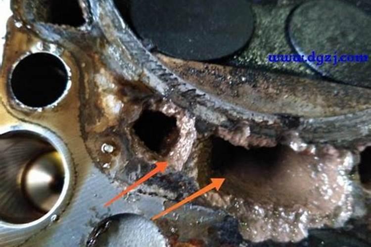 柑橘防冻液在什么时候打最好？