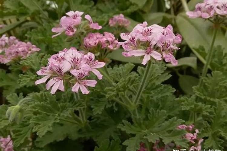 山西凯盛肥业有限公司企业简介