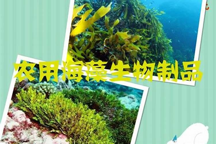 以前农村总是烧柴火,那火屎(柴恢)请问有谁知道有什么药用？