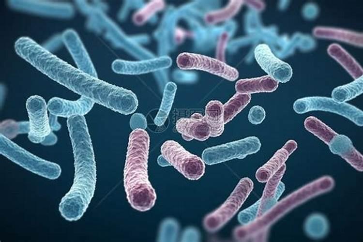 种葱打什么农药