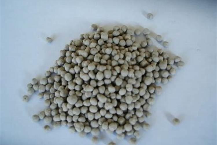 沙土地上什么肥料最好？