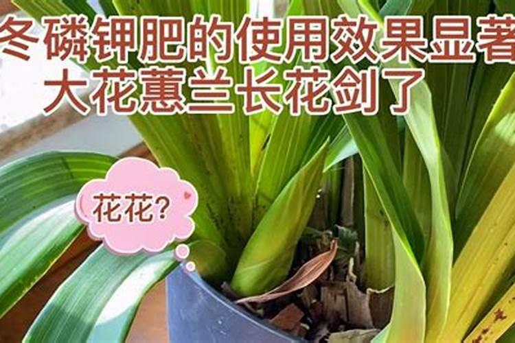 专治盐碱地的化肥