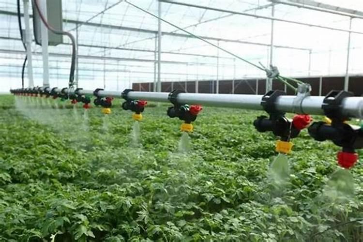 鱼塘水不肥怎样解决