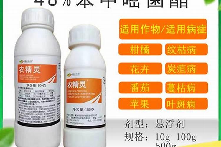 芍药花什么时候移栽