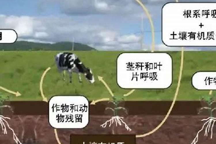 湖南有什么好吃的