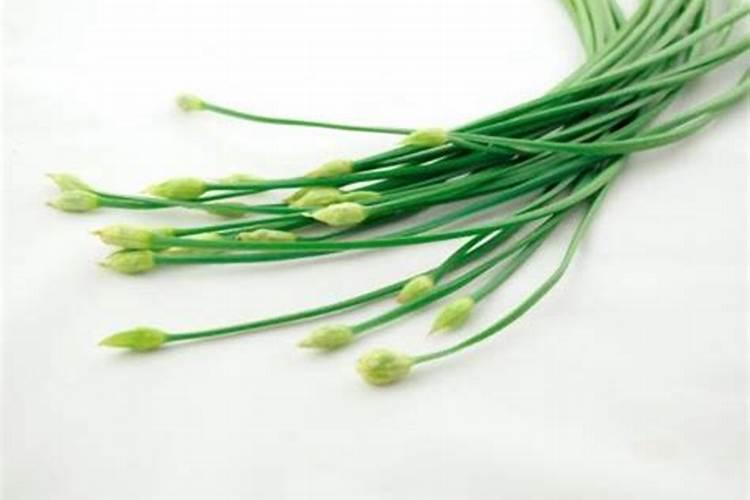 韭菜黄叶根系不好,是什么原因？用什么药？