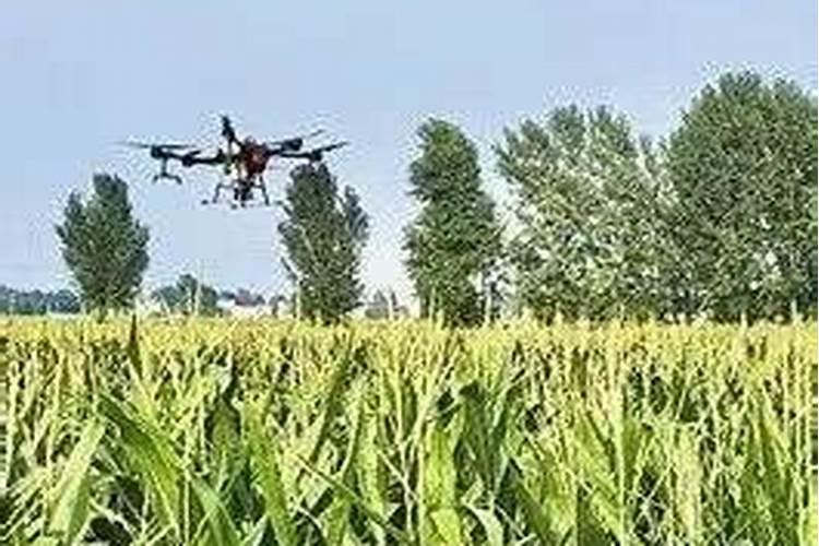 家用化肥哪个是磷肥