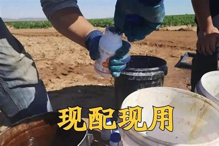 菜叶子怎么做肥料