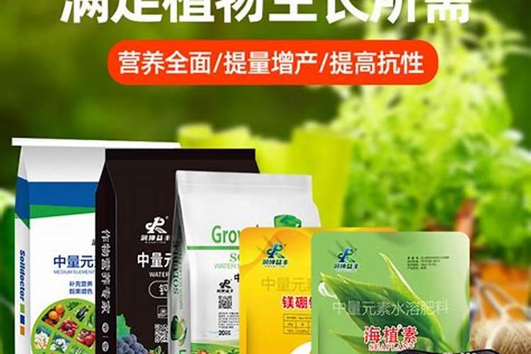 紫柚木沉木要不要煮