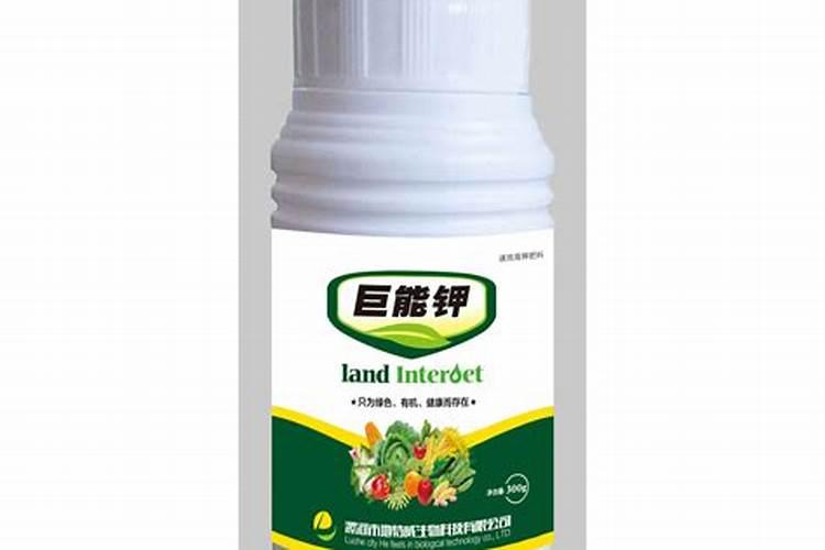 盆栽百合花的叶子可以喷水吗