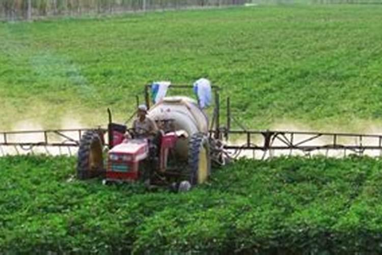 小烟苗用什么肥料最好