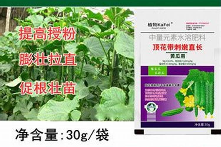 植物中镁元素的分离与鉴定具体方法