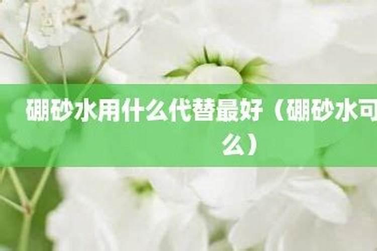 焊接用硼砂可以当水溶肥用吗