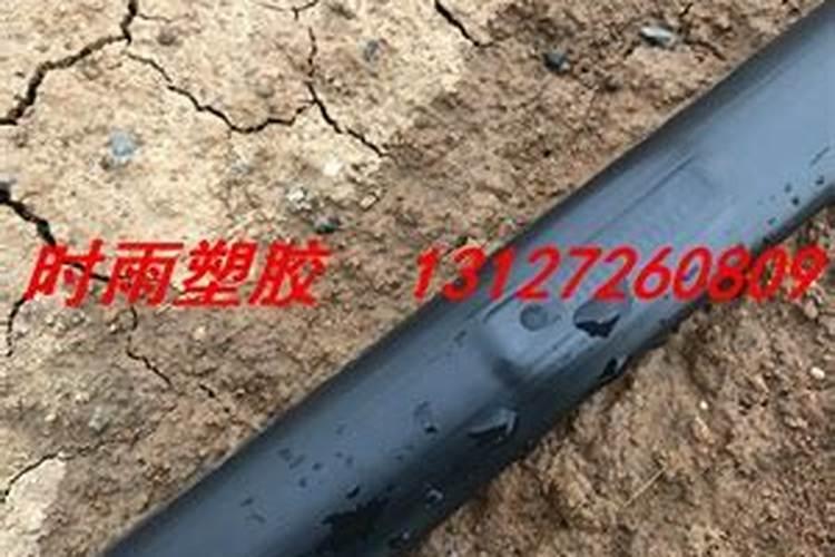 草莓硼肥滴灌好,还是喷施效果好