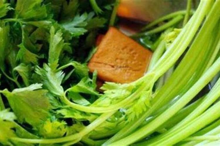 芹菜需要哪种肥料,该怎么施肥才能长好？