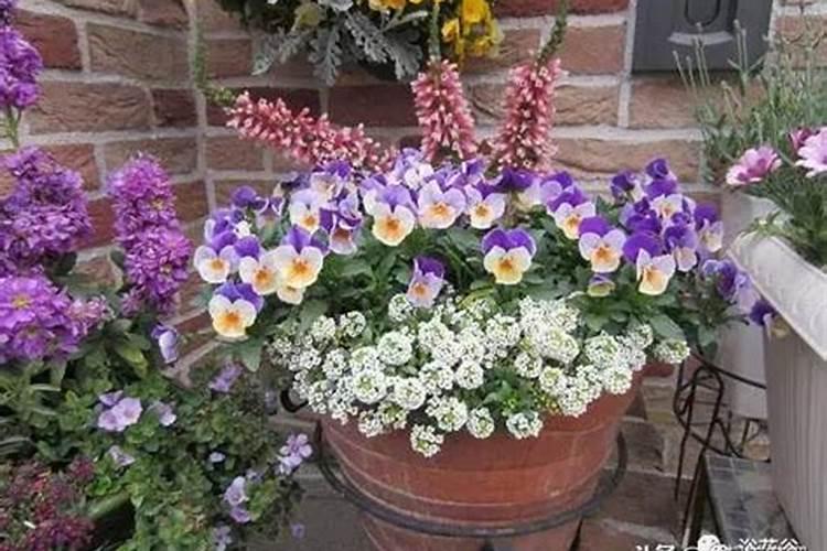 氮磷钾复合肥有什么作用？