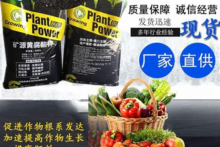 科普颗粒水溶肥的施用方法