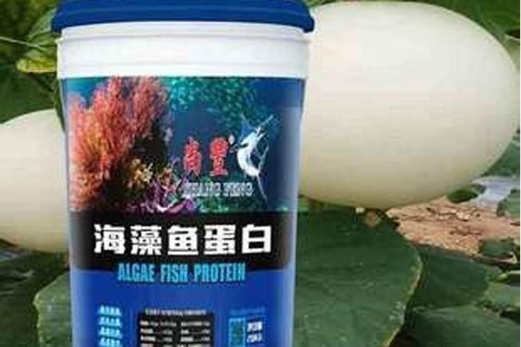 鱼的蛋白质含量高吗