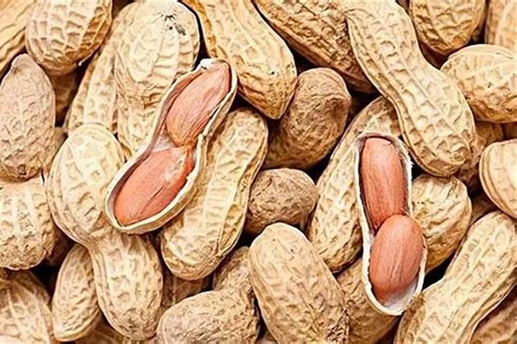 水溶肥哪个品牌最好